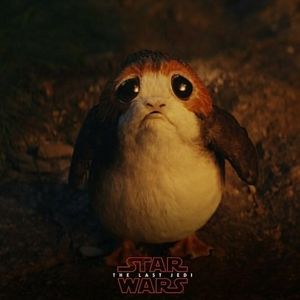 Meet your Posher, Steve